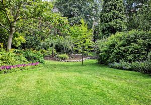 Optimiser l'expérience du jardin à Fresnoy-Andainville